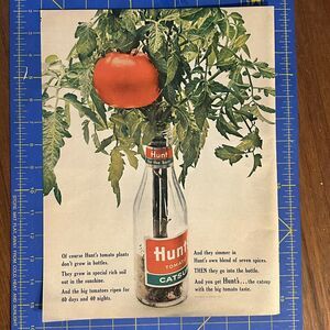 1963 Hunt's Tomato Catsup Ketchup Vintage Print Ad